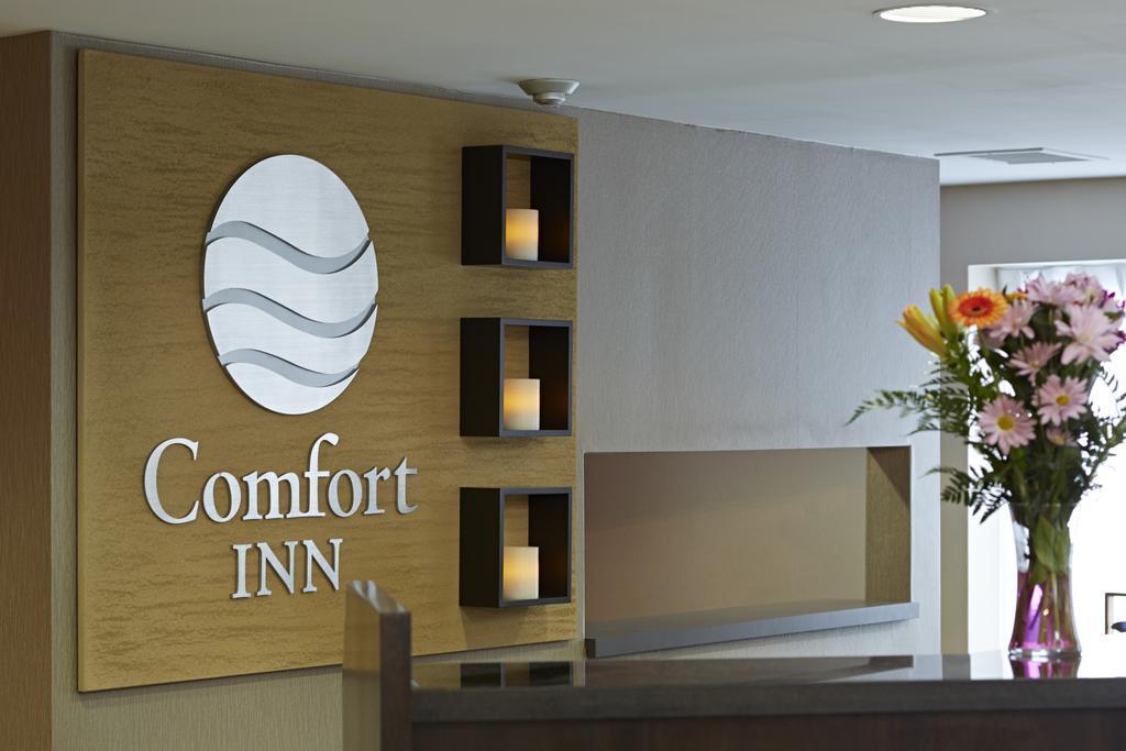 Comfort Inn ריבייר-דו-לופ מראה חיצוני תמונה